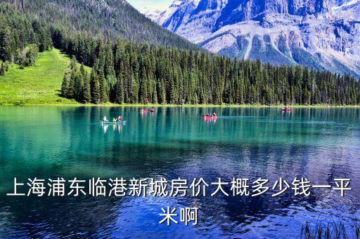 上海市臨港新片區(qū)房價均價，臨港新城老蘆公路江山路樓盤現(xiàn)在新房房價是多少錢一個平方