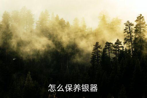 怎么保養銀器