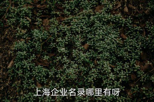 上海市甲級保密資質企業名錄，上海企業信息查詢