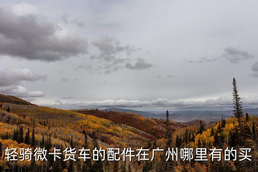 輕騎微卡貨車的配件在廣州哪里有的買