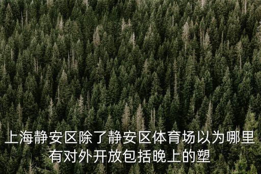 上海靜安區除了靜安區體育場以為哪里有對外開放包括晚上的塑