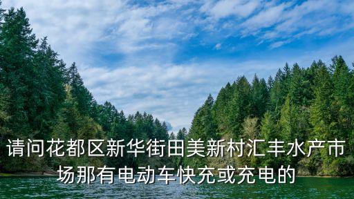 廣州電瓶車充電處，求助如果買電瓶車了 能在哪充電翡翠湖校區