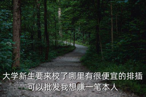 大學新生要來校了哪里有很便宜的排插可以批發我想賺一筆本人