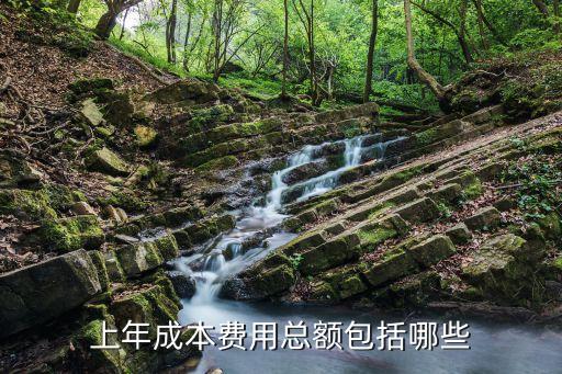 成本費用總額，成本費用總額指的是哪些項目