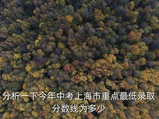分析一下今年中考上海市重點最低錄取分數線為多少