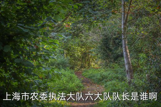 上海市農委執法大隊六大隊隊長是誰啊