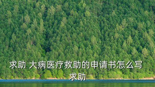 求助 大病醫療救助的申請書怎么寫 求助