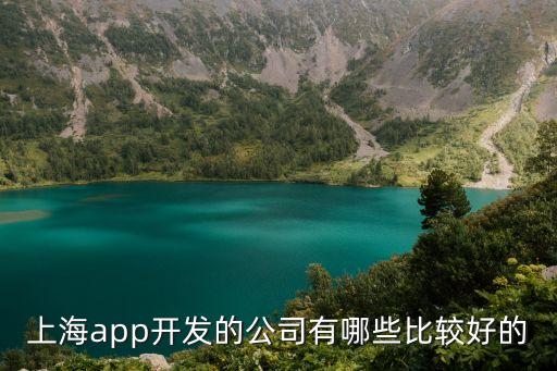 上海市制作app，上海app開發的公司有哪些比較好的