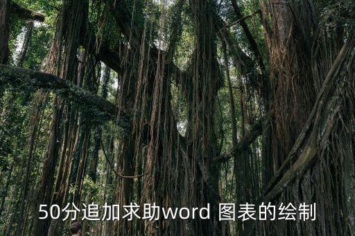 word圖表制作，如何用word做圖表