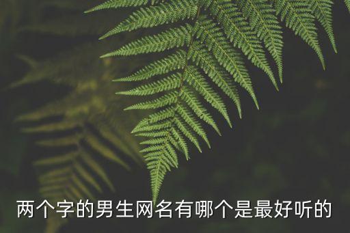 男生二字網名，好聽夠炫的兩個字的QQ男生網名