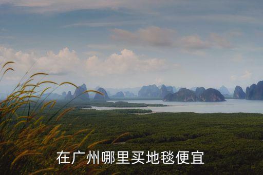廣州哪個地方賣地毯，在廣州哪里買地毯便宜