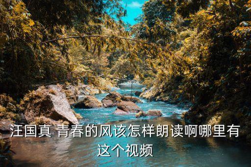 青春的風(fēng)，汪國真 青春的風(fēng)該怎樣朗讀啊哪里有這個視頻