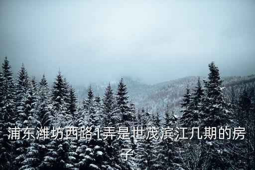上海市世茂濱江，上海世茂濱江花園濰坊西路浦城路路口那塊工地是造什么呀