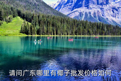 請問廣東哪里有椰子批發(fā)價格如何
