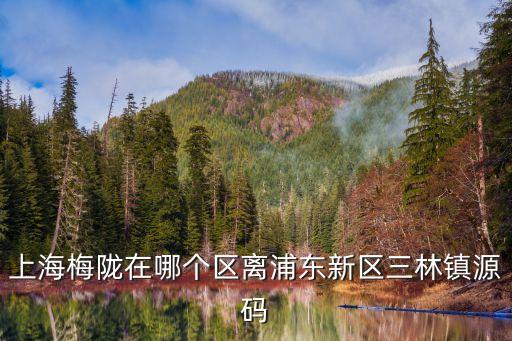 上海市梅隴中心小學(xué)地址，上海梅隴在哪個區(qū)離浦東新區(qū)三林鎮(zhèn)源碼