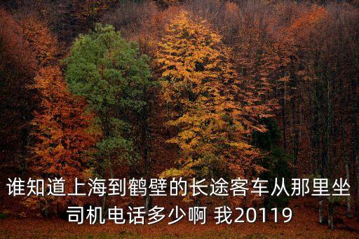 誰(shuí)知道上海到鶴壁的長(zhǎng)途客車從那里坐司機(jī)電話多少啊 我20119