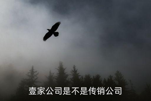 廣州壹家互聯(lián)網(wǎng)科技有限公司，壹家公司是不是傳銷公司