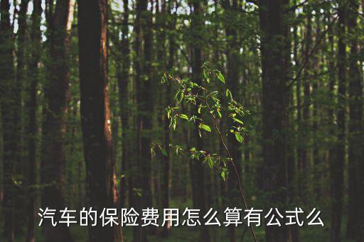 車險費用計算，汽車的保險費用怎么算有公式么