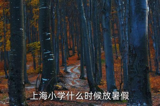 上海小學(xué)什么時(shí)候放暑假