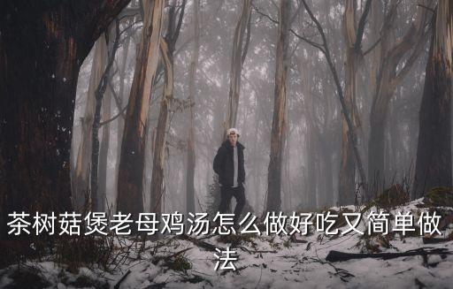 茶樹菇雞湯的做法，茶樹菇煲老母雞湯怎么做好吃又簡單做法