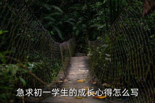 學生成長，學生如何成長