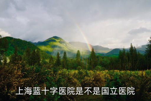 上海市蘭十字醫院，上海藍十字醫院是不是國立醫院