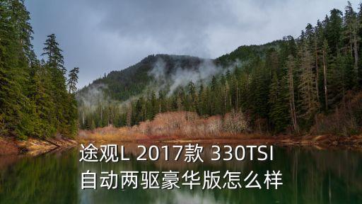 途觀L 2017款 330TSI 自動(dòng)兩驅(qū)豪華版怎么樣