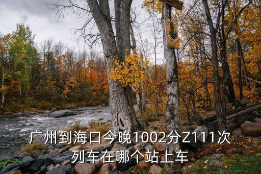廣州到海口今晚1002分Z111次列車在哪個站上車
