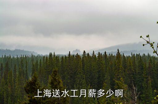 2018年上海市招聘送水，上海那里招聘