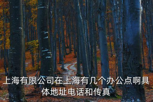 上海有限公司在上海有幾個辦公點啊具體地址電話和傳真