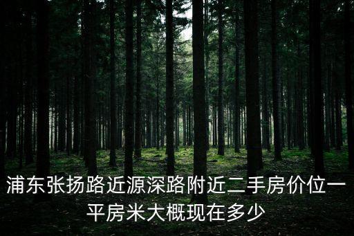 浦東張揚路近源深路附近二手房價位一平房米大概現在多少