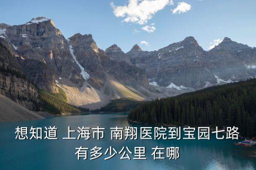 上海市嘉定區南翔醫院地址，南翔醫院在南翔哪條街