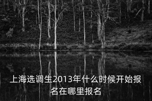 上海選調(diào)生2013年什么時候開始報名在哪里報名