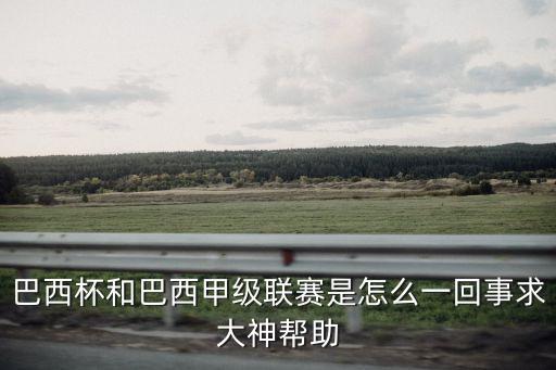巴西杯和巴西甲級聯賽是怎么一回事求大神幫助