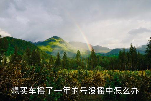 廣州搖號(hào)搖了一年還沒搖到，廣州搖號(hào)搖了快一年了 還沒搖到 怎么辦