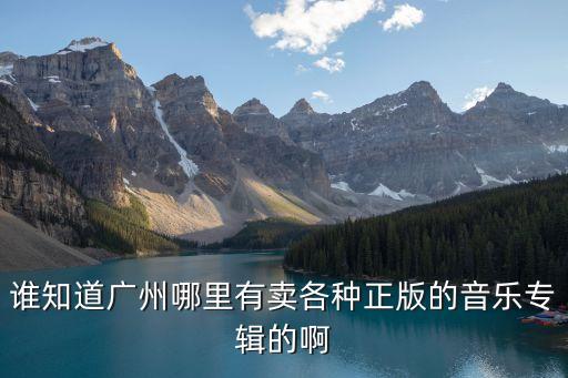 廣州哪里能買到正版的唱片，誰知道廣州哪里有賣各種正版的音樂專輯的啊