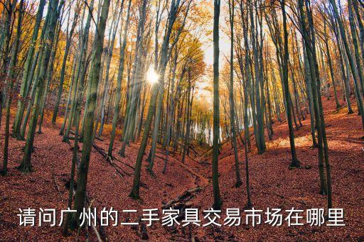 請問廣州的二手家具交易市場在哪里