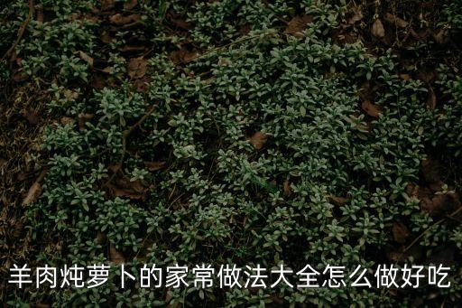 蘿卜燜羊肉，羊肉蘿卜煲怎么做