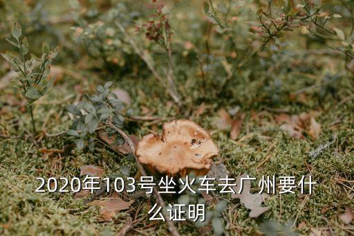 石家莊坐高鐵去廣州需要什么手續，2020年103號坐火車去廣州要什么證明