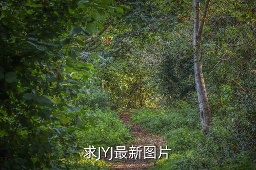 武漢加油圖片，誰有這張圖片