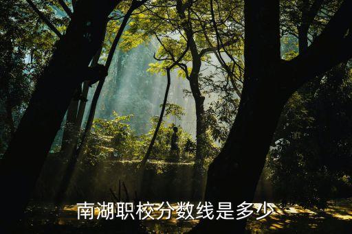 上海市南湖職業學校算幾本，上海南湖職業中學好不好