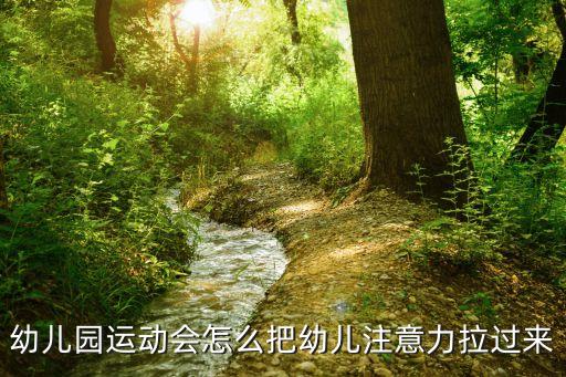 幼兒園運動會，適合幼兒運動會的項目