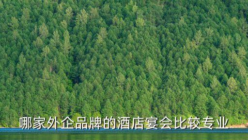 哪家外企品牌的酒店宴會比較專業
