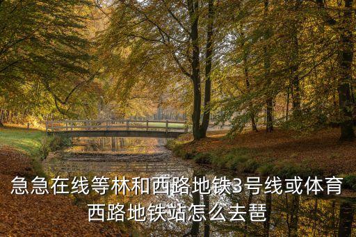 林和西地鐵站到廣州星空藝術(shù)館，番禺市橋到廣州星空藝術(shù)館怎么坐車