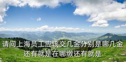 請問上海員工應該交幾金分別是哪幾金還有就是在哪繳還有就是