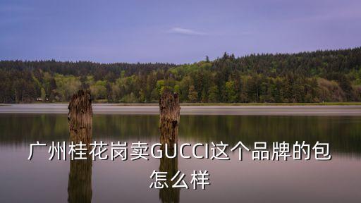 廣州桂花崗賣GUCCI這個(gè)品牌的包怎么樣