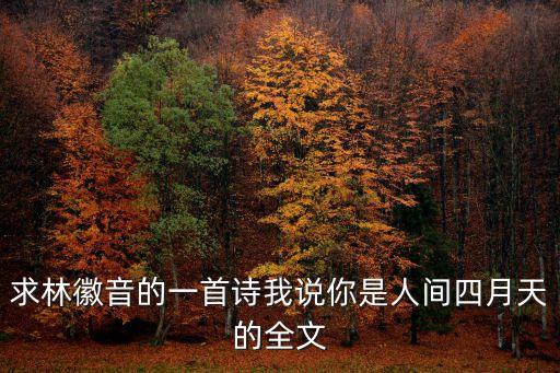 求林徽音的一首詩我說你是人間四月天的全文