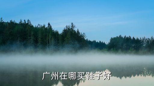 廣州哪里買運動鞋最好，廣州哪里有運動鞋特賣場最好是集中一點的想買Nike的一定要是