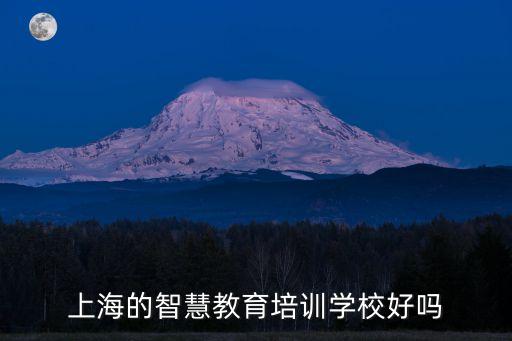 上海市智慧教育是騙子嗎，上海的智慧教育培訓(xùn)學(xué)校好嗎