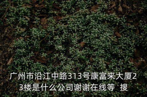 廣州市沿江中路313號康富來大廈23樓是什么公司謝謝在線等  搜